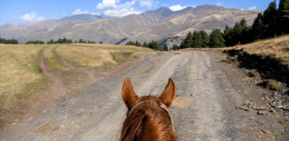 OMALO-SHATILI HORSE TOUR