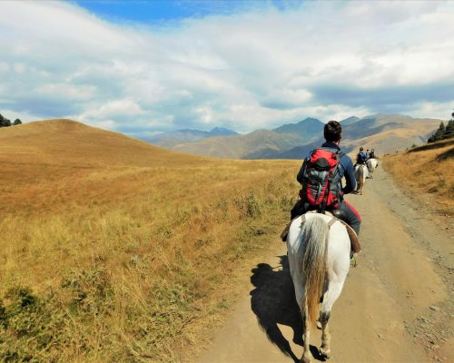 Horse Riding Tour in Omalo