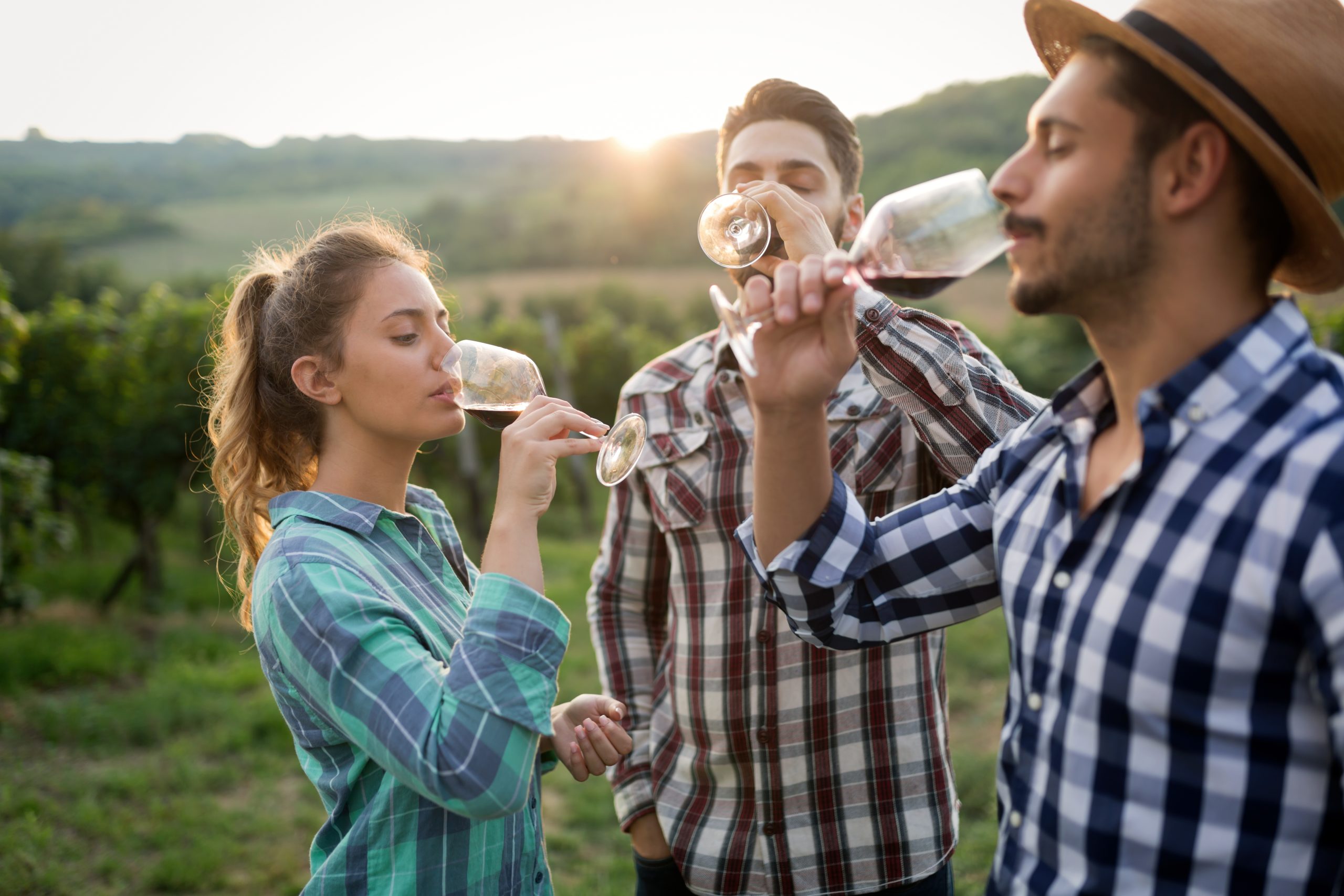 Wine tasting in Georgia